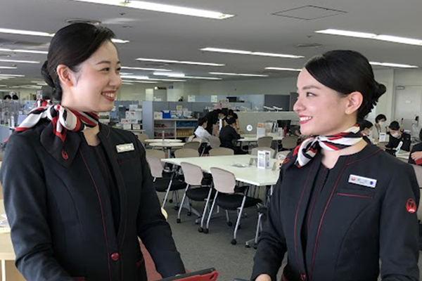 JALキャビンアテンダント ビジネスリサーチ